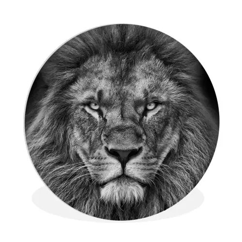 Dieren - Leeuw - Zwart - Wit - Portret Wandcirkel kunststof plaat 5mm dik klein -3d