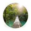 Jungle - Water - Brug - Natuur - Planten Wandcirkel aluminium klein -3d