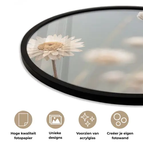 Strobloemen - Wit - Daglicht Fotolijst rond zonder passe partout klein -closeup_NL