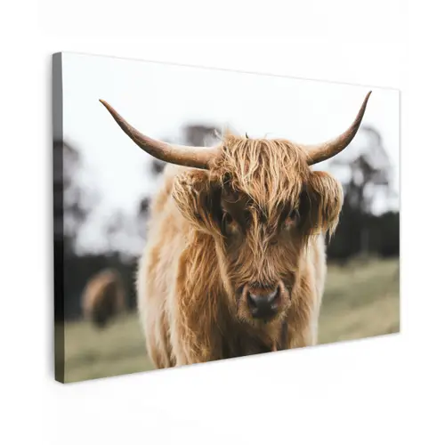 Schotse Hooglander -  Koe - Gras - Dieren - Natuur Tuinposter op houten frame 2 cm dik klein -3d