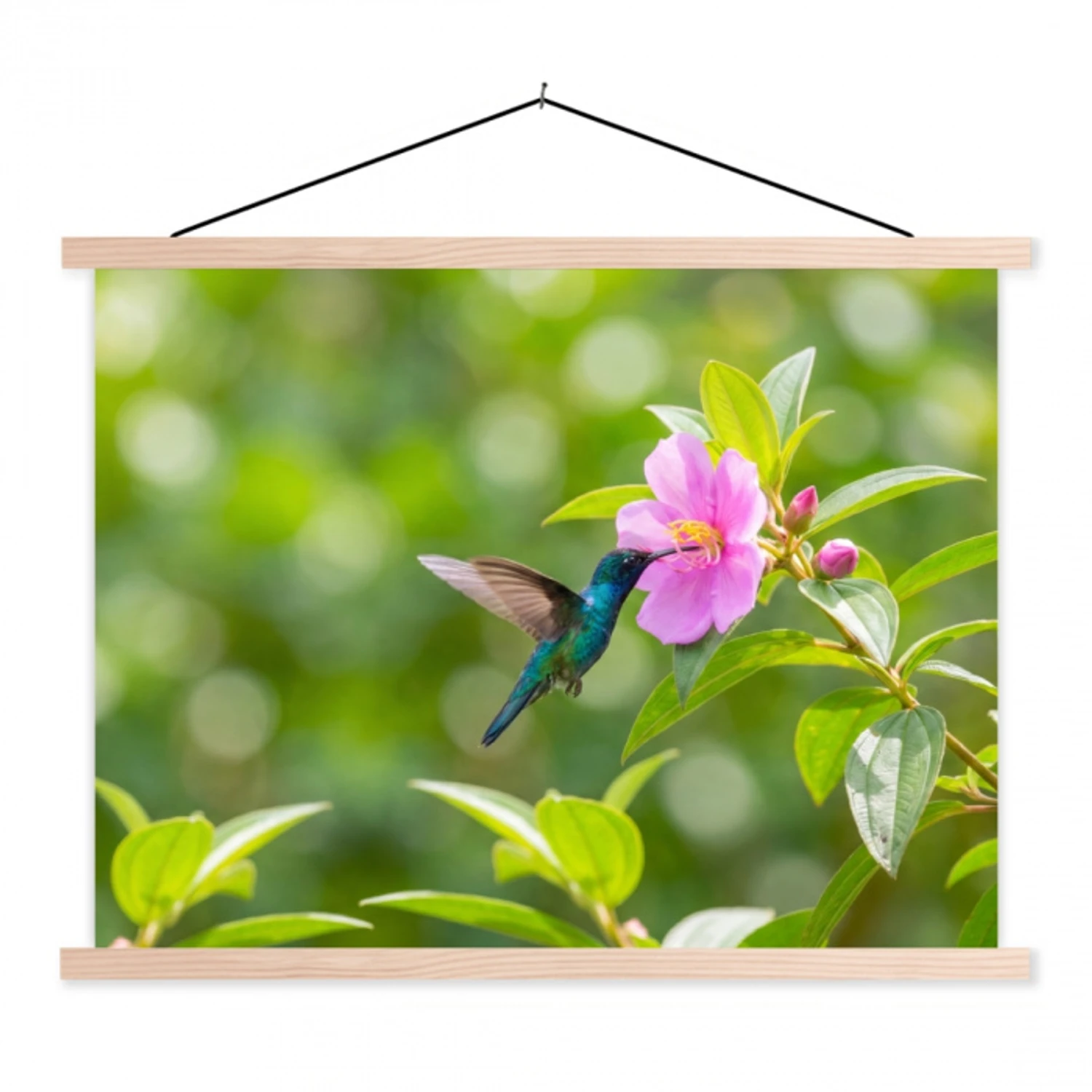 Kolibrie - Bloem - Natuur - Groen textielposter latten blank klein -3d