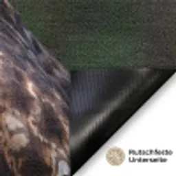Buizerd - Roofvogel - Natuur - Bruin Deurmat klein -antislip_DE
