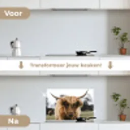 Schotse Hooglander -  Koe - Gras - Dieren - Natuur keuken achterwand spatscherm klein -voor_na_NL