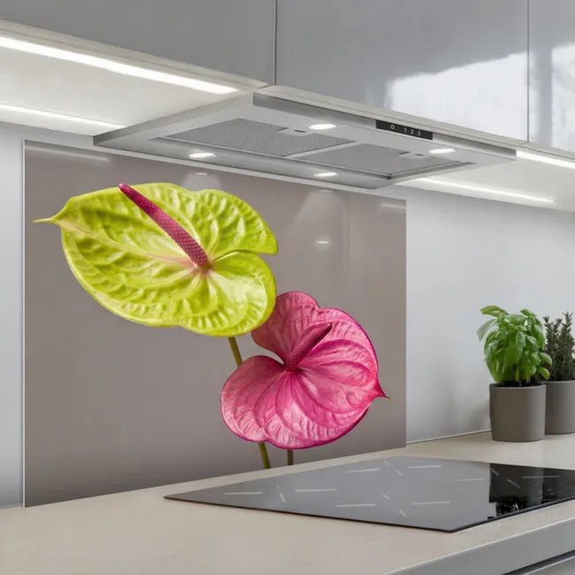 Paraschizzi cucina - Piante - Anthurium - Verde - Rosa