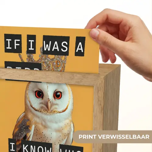 Geel - Uil - Vogel - Decoratie Light Box met kabel (Wandlamp) klein -USP_websiteprintNL