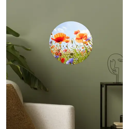 Bloemen - Klaproos - Lente - Natuur - Rood - Blauw Wandcirkel behangsticker klein -sfeer2