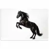 Zwart - Paard - Portret poster papier klein -3d