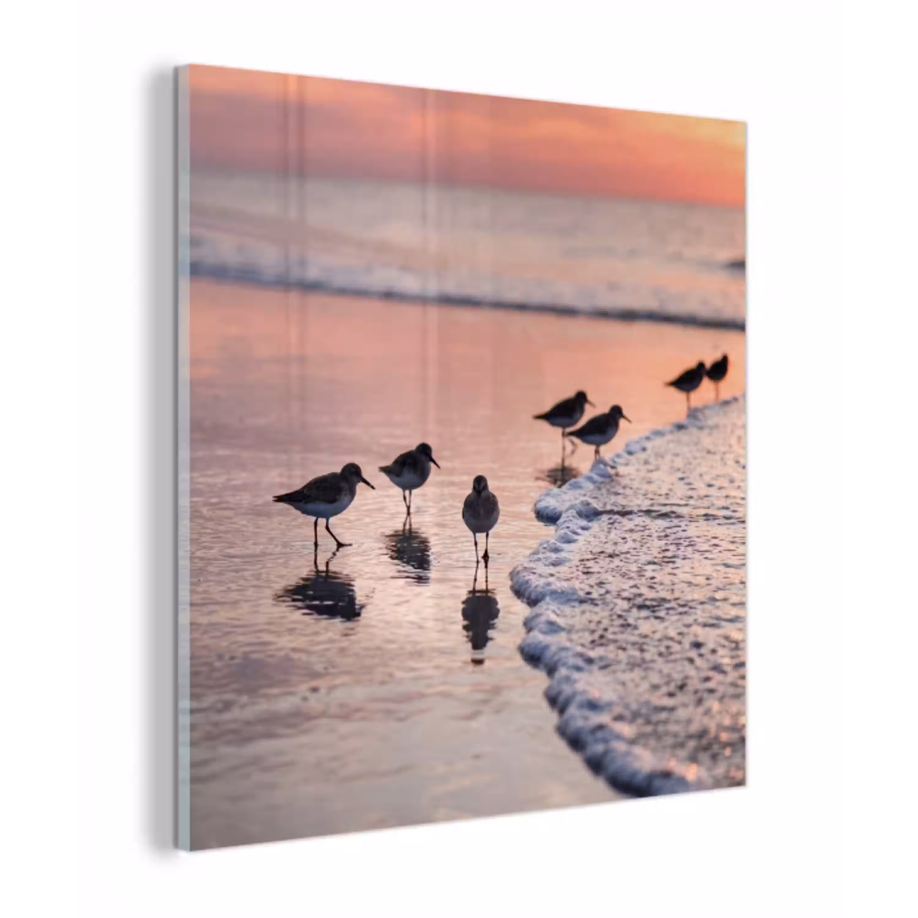 Meeuwen - Strand - Zee - Roze plexiglas 5mm klein -z3d