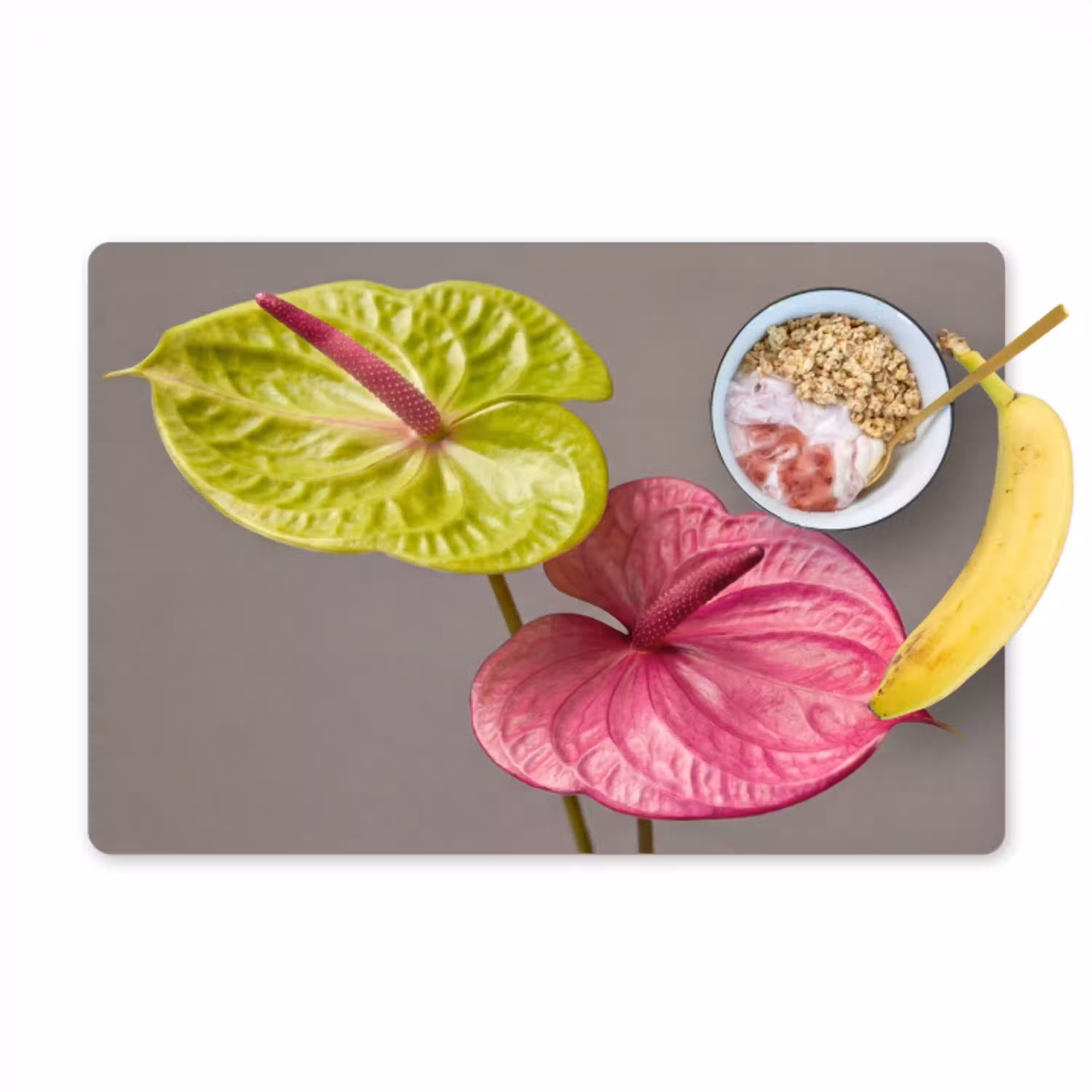 Planten - Anthurium - Groen - Roze Placemat vinyl groot -zzzproduct_Kitchenyeah-website
