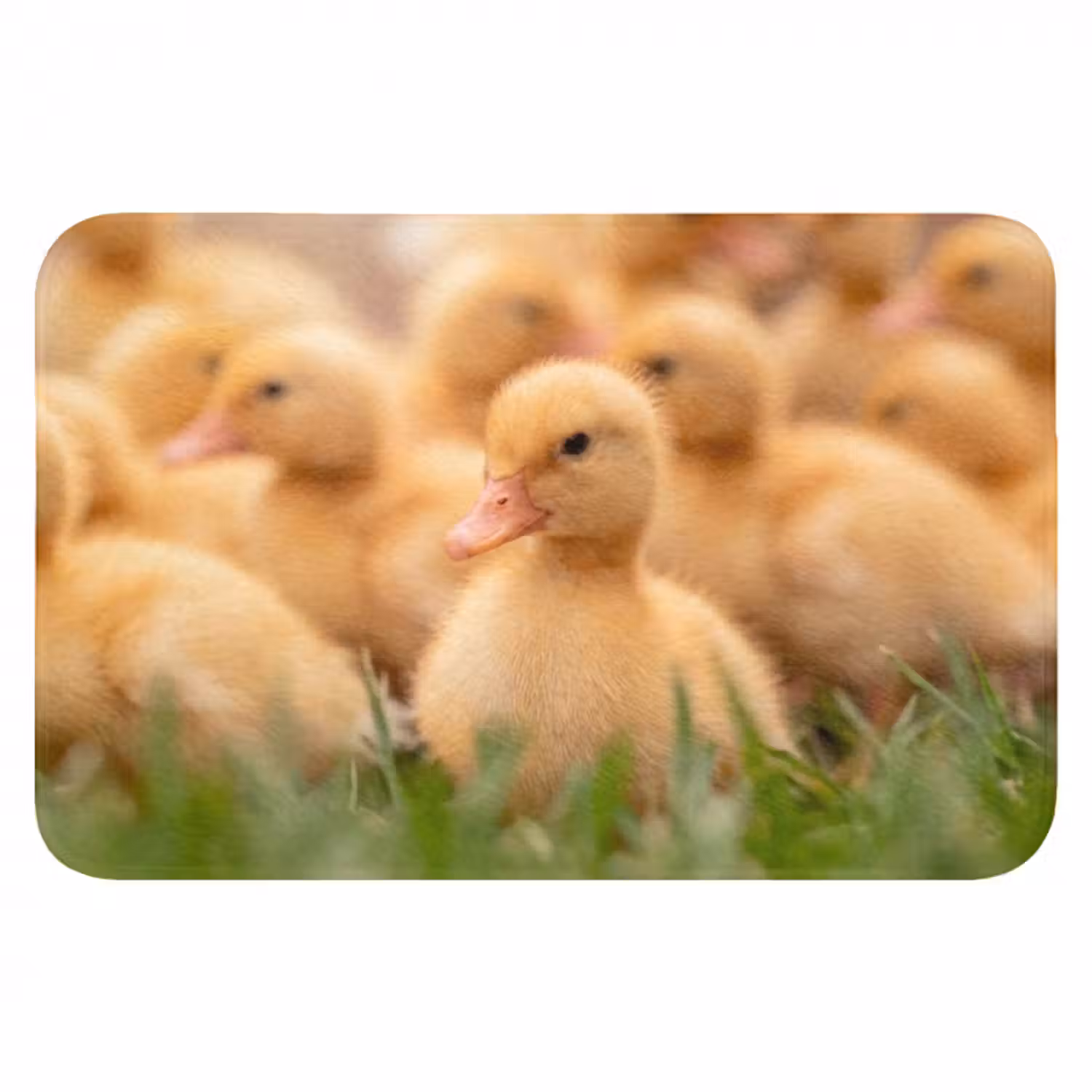 Badematte - Pfeil - Ente - Natur - Gelb