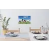 Koeien - Platteland - Weiland - Natuur - Dieren Muursticker klein -eettafel
