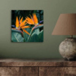 Paradijsvogel - Bloem - Exotisch aluminium wit klein -sfeer2