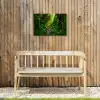 Zonnige Stralen in het Regenwoud Tuinposter op houten frame 2 cm dik klein -sfeer4