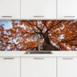 Boom - Bladerdak - Herfst - Oranje - Sfeervol keuken achterwand 2 middel -3d