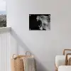 Dieren - Leeuw - Zwart - Wit - Portret tuinposter los doek klein -sfeer8