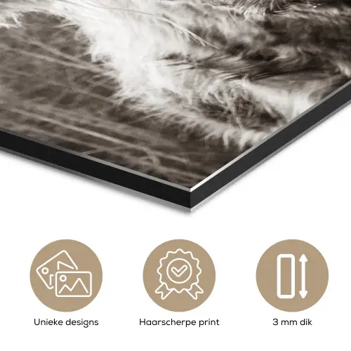 Schotse hooglander - Koe - Dieren - Zwart - Wit aluminium wit klein -closeup_NL
