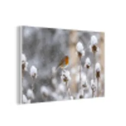 Roodborstje - Gedroogde bloem - Sneeuw - Winter - Vertederend forex 5mm xxl -3d