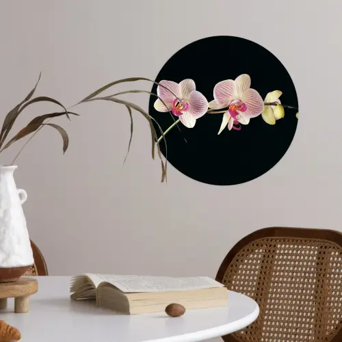 Orchidee - Bloemen - Zwart - Roze - Knoppen Wandcirkel behangsticker klein -sfeer3