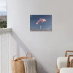 Dolfijn - Roze - Astronaut tuinposter los doek klein -sfeer8