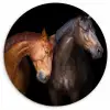Paarden - Dieren - Portret - Bruin Wandcirkel kunststof plaat 5mm dik klein -3d