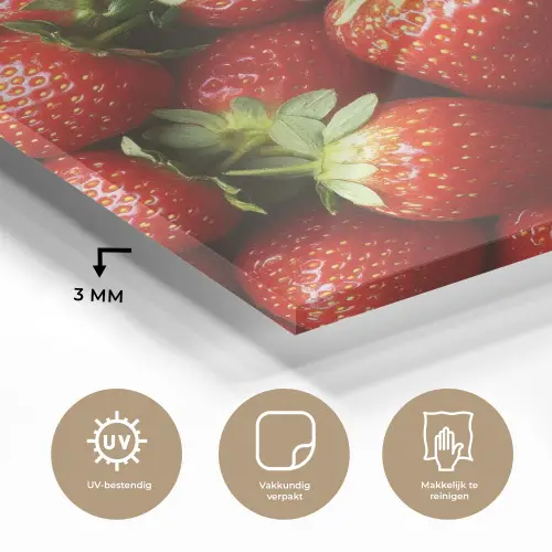 Aardbei - Fruit - Rood plexiglas 5mm klein -sfeer2