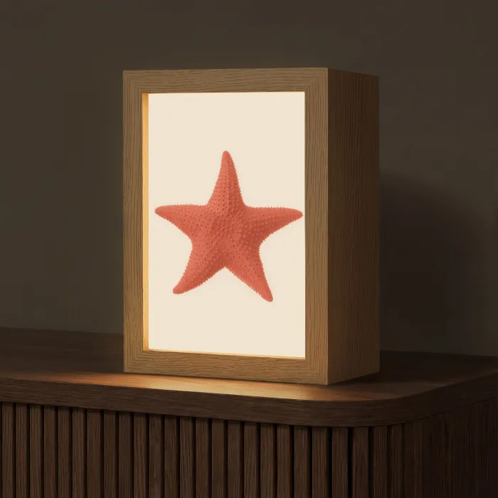 Zeester - Bobbels - Rood Light Box met kabel (Tafellamp) klein -z3d_website