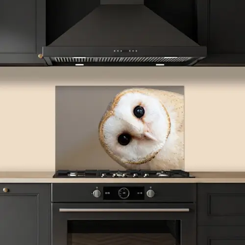 Uil - Bruin - Wit keuken achterwand spatscherm klein -sfeer1