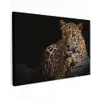 Wilde dieren - Panter - Portret - Zwart - Dieren canvas 2cm klein -z3d