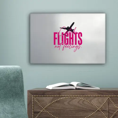 Catch flights not feelings - Vliegtuig - Roze canvas 2cm klein -sfeer4