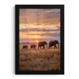 Olifanten - Savanne - Zonsondergang - Afrika - Warm fotolijst zwart zonder passe partout klein -3d