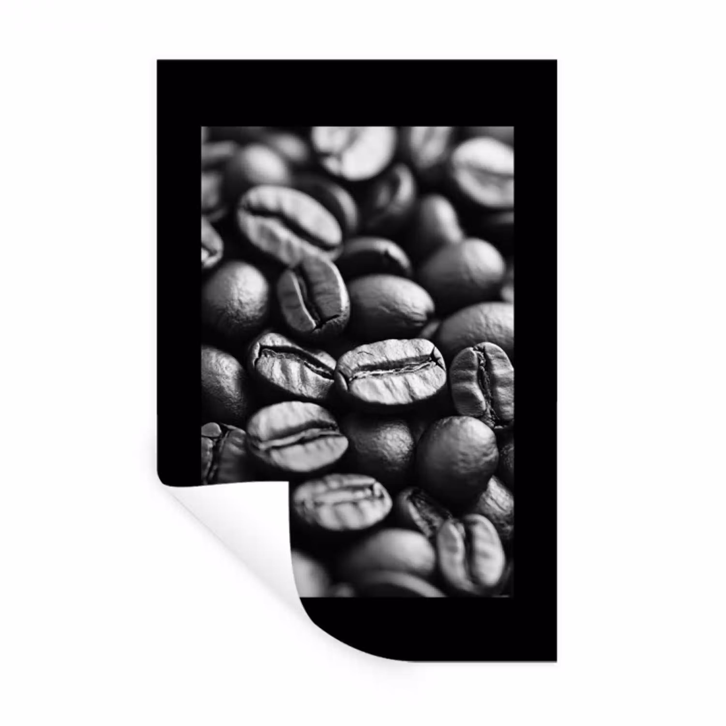 Koffiebonen - Zwart - Vintage Muursticker klein -3d