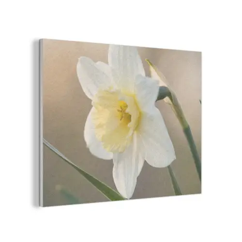 Narcis - Bloem - Minimalistisch PET vilt klein -3d