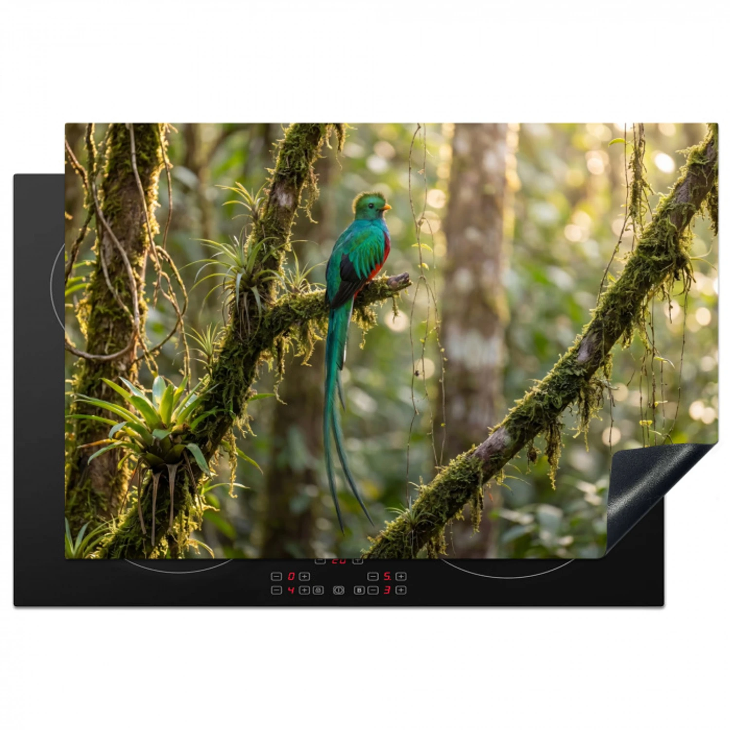 Quetzal - Jungle - Natuur - Groen Inductie beschermer vinyl 3mm klein -3d