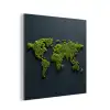 Wereldkaart - Mos -Levendig effect aluminium wit klein -3d