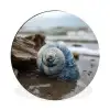 Schelp - Strand - Blauw - Zee Wandcirkel aluminium klein -3d