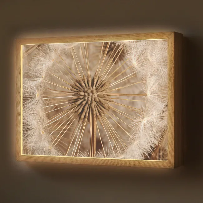 Lightbox - Wandlamp - Paardenbloem - Bloemen - Natuur - Bruin