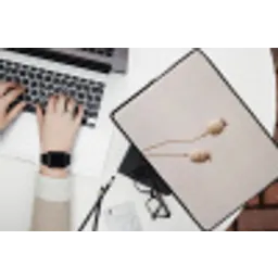 Papaverbollen - Droogbloemen - Minimalistisch - Beige - Rustig laptophoes neopreen klein -bureau