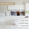 Schotse hooglander - Bruin - Water keuken achterwand 2 middel -sfeer4_NL