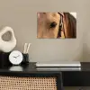 Paard - Oog - Bruin poster papier klein -sfeer1