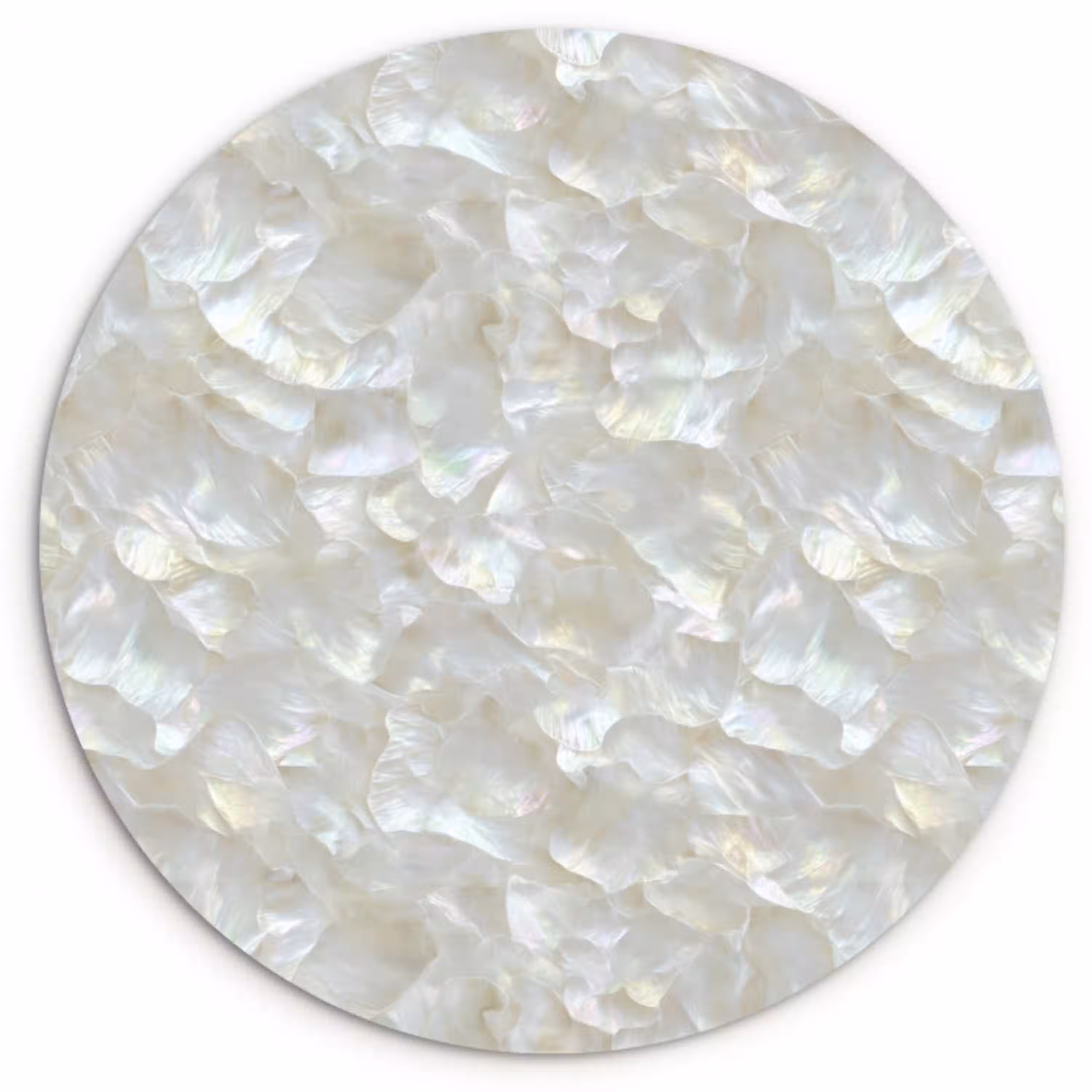 Parelmoerglans - Wit - Schelp Wandcirkel kunststof plaat 5mm dik klein 188 -3d