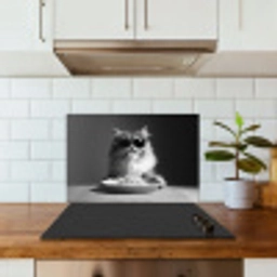 Langharige kat - Zonnebril - Spaghetti - Humor - Zwart - wit keuken achterwand spatscherm klein -sfeer2