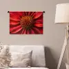 Close up - Bloem- Rood Wandkleed katoen klein -sfeer4
