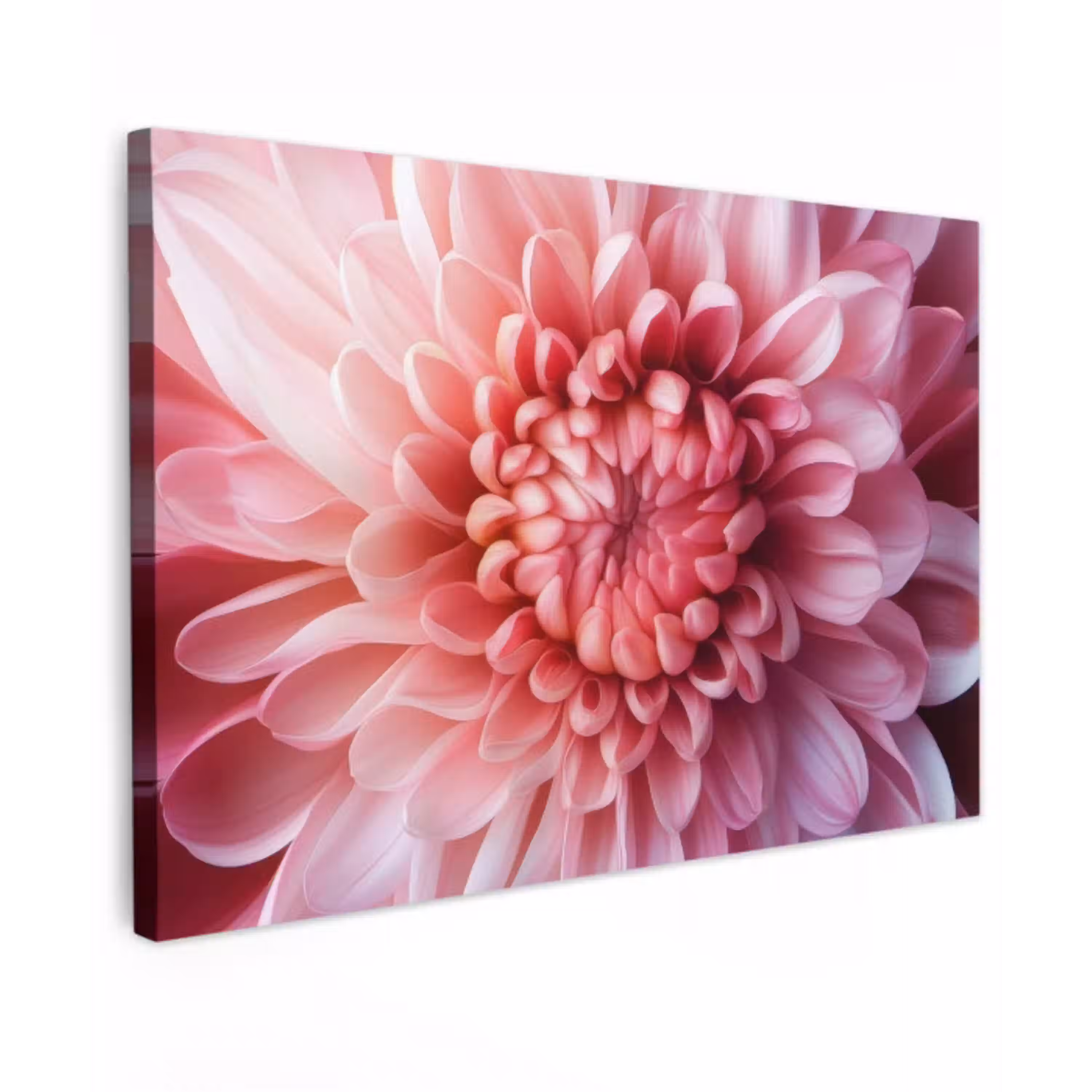 Dahlia - Bloem - Close up - Roze Tuinposter op houten frame 2 cm dik klein -3d