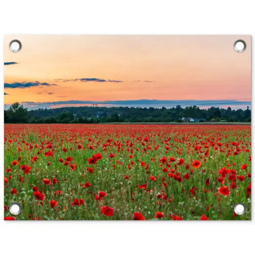 Klaprozen - Landschap - Rood - Bloemen tuinposter los doek klein -3d