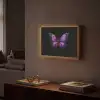 Vlinder - Paars - Levendig Light Box met batterij (Wandlamp) middel -sfeer1