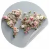 Wereldkaart - Rozen - Roze Wandcirkel behangsticker klein -3d