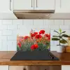 Klaproos - Bloemen - Rood - Paars - Weide keuken achterwand spatscherm klein -sfeer2
