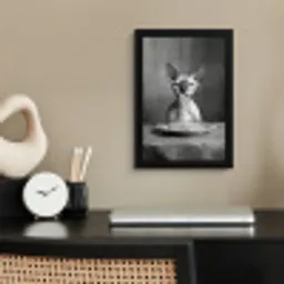 Sphynx - Kat - Dieren - Humor - Spaghetti - Zwart Wit fotolijst zwart zonder passe partout klein -sfeer1