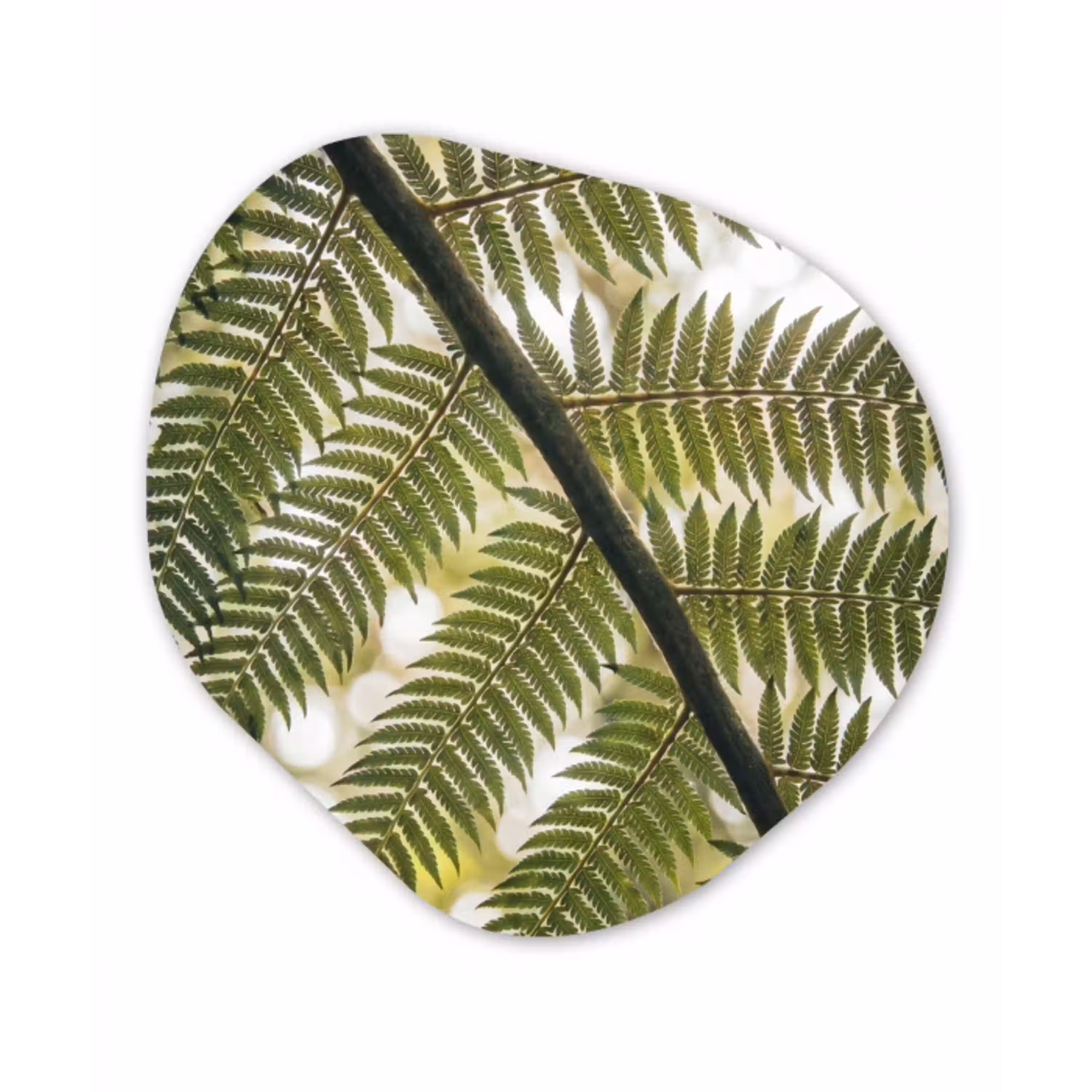 Plant - Blad - Natuur - Groen - Detail Wandcirkel Organisch Aluminium middel -3d