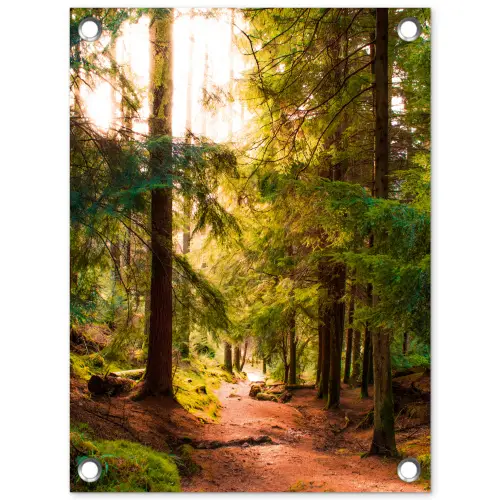 Mossig bospad tuinposter los doek klein -3d